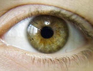 Grönbruna ögon