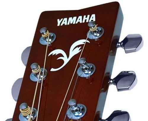 Gitarr Yamaha F310: recensioner. Strängar för akustisk gitarr Yamaha F310