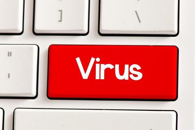Infektion med ett datavirus kan inträffa när du arbetar med filer?