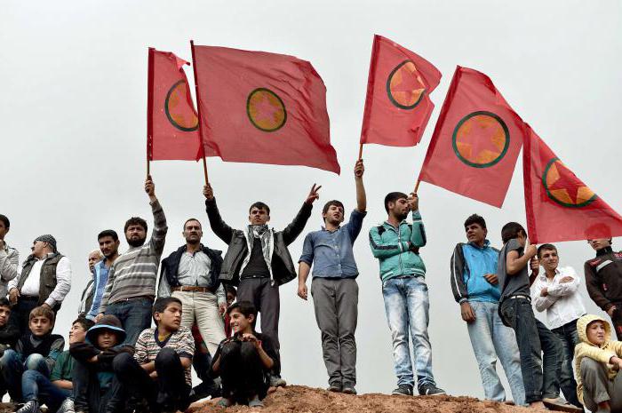 Kurdistiska arbetarnas parti: Historia och mål