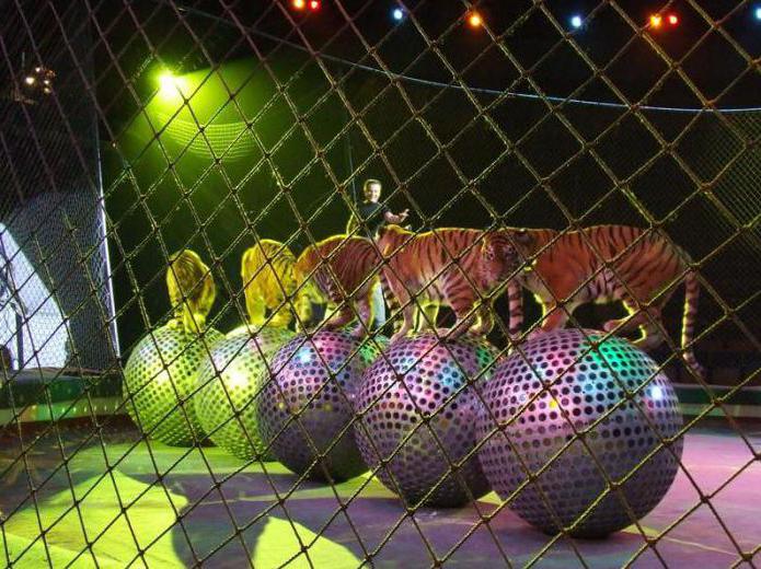 Cirkus Nizhny Novgorod: En av stadens sevärdheter