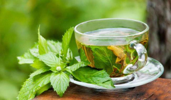 Diet på grönt te - hur man går ner i vikt utan hälsoskador?